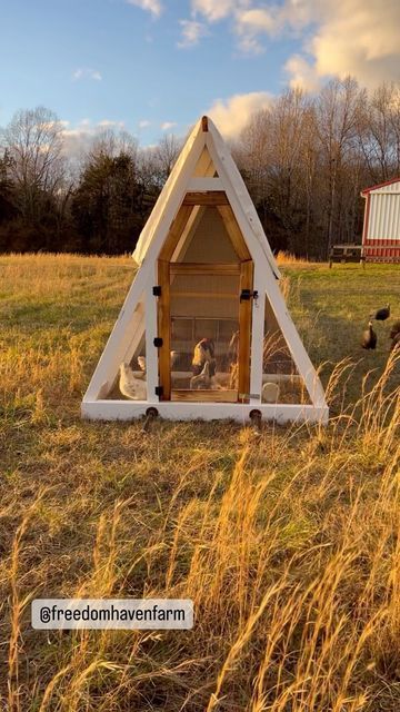 Dr. Shaun & Tiffany on Instagram: "Our A-frame chicken tractor sure is pretty, but dang it’s super functional too! The only thing I would modify is to make the roofline more of an obtuse angle…creating a shorter, wider triangle design. Turns out we don’t need all that head room and by just widening the angle, we could gain more floor space for the birds to range without adding additional weight to the structure. The nesting boxes in the back are an awesome feature, but totally unnecessary if you Rotating Chicken Coop, A Frame Pallet Chicken Coop, Triangle Chicken Coop, A Frame Chicken Tractor, Pallet Construction, Chicken Math, A Frame Chicken Coop, Chicken Nest, Chicken Coop Pallets