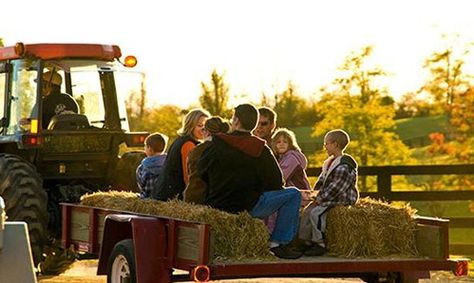 Seasonal Bucket List: Go on a Hay Ride Hay Ride Ideas, Hay Ride, Pumpkin Patch Party, Sheriff Callie, Osage County, Harvest Fest, Seasons Activities, Farm Fun, Fall Fest