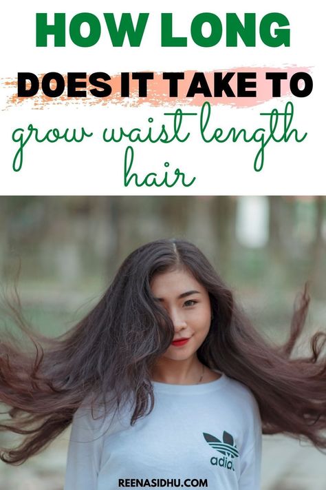 How long does it take to grow waist length hair? Preserving long and lustrous hair is a continuous effort. It requires a well planned routine. Read this tips to help you grow long hair. #LongHair #HairCare #HairCareTips How Long Does It Take To Grow Hair, Grow Hair Long And Fast, Waist Long Hair, Brassy Hair, Waist Length Hair, Wine Hair, Collage Pics, Hair Mask For Growth, Long Hair Tips