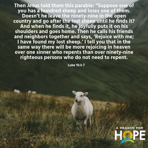 Luke 15 Lost Sheep, Luke 15, Judging People, Lost Sheep, The Lost Sheep, Give Me Jesus, Romance Series, Human Soul, Prayer Book