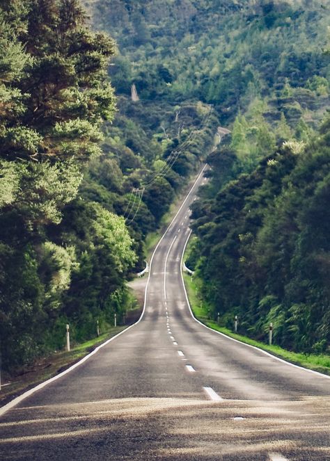 Waitakere Ranges (Auckland, New Zealand) by Hannah Davis cr.🇳🇿 Empty Road, Beautiful Roads, I'm Scared, Scenic Roads, Forest Road, Winding Road, Road Trippin, Back Road, Nature Adventure