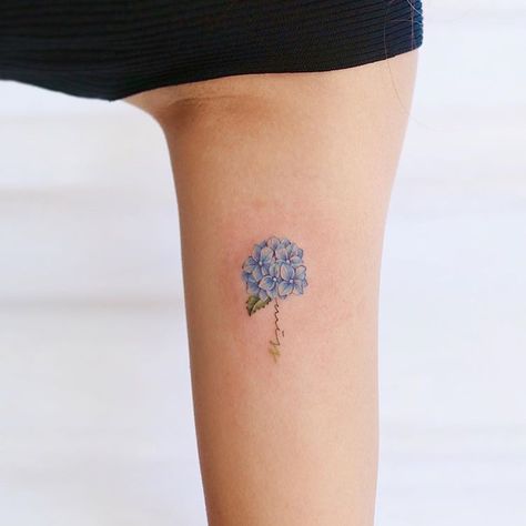 Blue Hydrangea Tattoo Small, Hydrangea Tattoo Small Black, Small Hydrangea Tattoo, Hydrangea Tattoo Small, Hydrangea Tattoos, Hydrangea Tattoo, Blue Flower Tattoos, Women Half Sleeve, Guys Tattoos