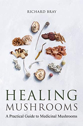 Medicinal Mushrooms: A Practical Guide to Healing Mushrooms (Urban Homesteading Book 8) eBook : Bray, Richard: Amazon.ca: Kindle Store Mushrooms Edible, Undead Knight, Healing Teas, Backyard Homestead, Meditation Chakras, Garden Orchard, Mushroom Cottage, Mushroom Tea, Mushroom Cultivation