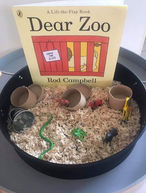 Dear Zoo Eyfs, Dear Zoo Activities, Baby Room Activities, Science Area, Zoo Activities, Dear Zoo, Story Sack, Sensory Tub, Eyfs Activities