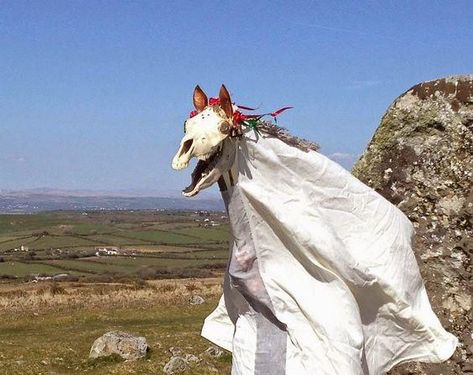 Mari Lwyd Welsh Christmas Tradition. Five Unique Christmas Traditions from Around the World by Issa Rabideaux Mari Lwyd, Charles Freger, Horse Skull, 동화 삽화, Punch And Judy, Christmas Horses, Most Haunted, Hobby Horse, 영감을 주는 캐릭터