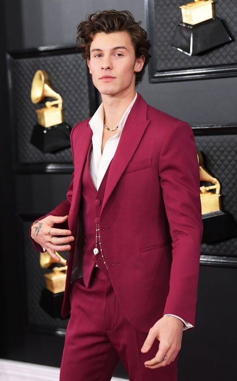 Grammys 2020, Grammy Awards Red Carpet, Shawn Mendes Concert, Shawn Mendes Imagines, Shawn Mendes Wallpaper, Best Dressed Man, Tuxedo For Men, Grammy Awards, Shawn Mendes