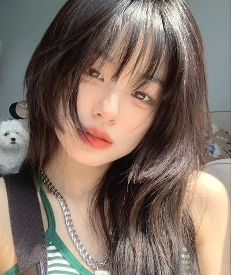 Round Face, Long Hair, Bangs, Teddy Bear, Hairstyles, Hair, Beauty