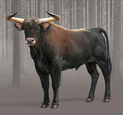 Wild Bull, Prehistoric Wildlife, Ancient Animals, Prehistoric Art, Paleo Art, A Bull, Extinct Animals, Prehistoric Creatures, Prehistoric Animals