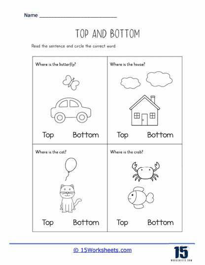 Where Is That Butterfly Worksheet - 15 Worksheets.com Top Bottom Worksheet, Butterfly Worksheet, Which One Doesnt Belong, Homeschooling Materials, Holiday Science, Kindergarten Social Studies, Speech Ideas, Spatial Relationships, Preschool Activity