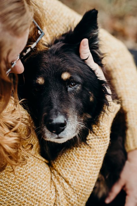 Dog Portraits With Owner, Dog Photos With Owner, Photo Shoot With Old Dog, Owner Dog Photoshoot, Elderly Dog Photoshoot, Dogs Last Day Photoshoot, Dog Memorial Photo Shoot, Dog Photography With Owner, Celebration Of Life Dog Photography