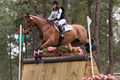 Olympic Horses, Eventing Cross Country, School Poetry, Competition Board, Cross Country Jumps, Equestrian Outfit, Equestrian Photography, Horse Jumps, Jumping Horse