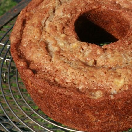 Lemon And Coconut Cake, Savory Cakes, Bird Cake, Hummingbird Cake, Bird Cakes, Magic Cake, Gingerbread Recipe, Tasty Kitchen, Cake Trends