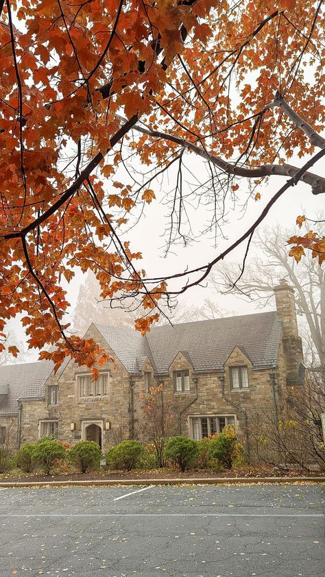 A branch with red leafs on a foggy day, in front of an old building surrounding the national Cathedral in Washington DC Fall In Dc, Fall In Washington Dc, Washington Dc Autumn, Georgetown Washington Dc Fall, Washington D.c Aesthetic, Washington Dc Nature, Red Leaves, Old Building, Fall Season