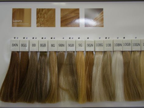 Colour Swatches – Which Shade Do You Fancy?! – The Outback Hair Salon Goldwell Color Chart, Level 7 Hair Color, Blonde Hair Color Chart, Hair Color Swatches, Colour Swatches, Color Wonder, Hair Color Chart, Warm Blonde, Blonde Tones