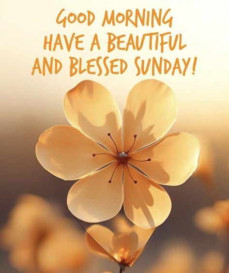 Happy Sunday morning, my beautiful friends and family! 🌞 I hope today brings you peace, joy, and plenty of smiles. Take a moment to soak in the little blessings around you—whether it's that first sip of coffee, the laughter of loved ones, or just the warmth of a quiet moment. Remember, Sundays are for recharging our hearts and minds. Let’s make it a day filled with gratitude, love, and light! Sending you all a big hug and a reminder: you are loved, you are blessed, and you are never alone.... Happy Blessed Sunday, Sunday Morning Blessings, Sunday Blessings Quotes, Happy Sunday Morning, Sunday Greetings, Sunday Blessings, Blessed Sunday, Big Hug, Morning Blessings