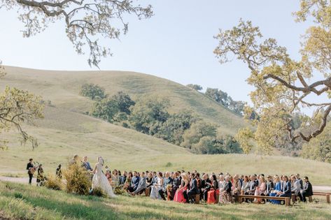 Love Is In The Air In Los Olivos – C Magazine® Santa Ynez Valley, Communal Table, Yellow Wildflowers, Cocktail Serving, Hawaii Honeymoon, Santa Ynez, Michelin Star Restaurant, Beauty Event, Bar Set Up