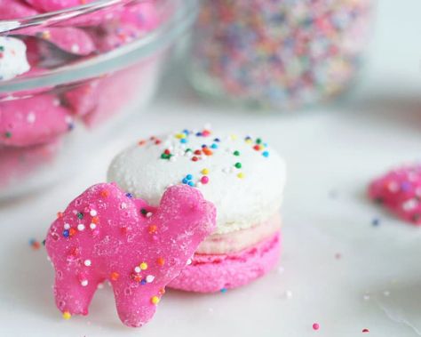 Animal Cookie Recipes, Cookie Macarons, Animal Cookies Recipe, Frosted Animal Crackers, Homemade Macarons, Circus Cookies, Animal Cracker, Circus Animal Cookie, Cheesecake Parfaits