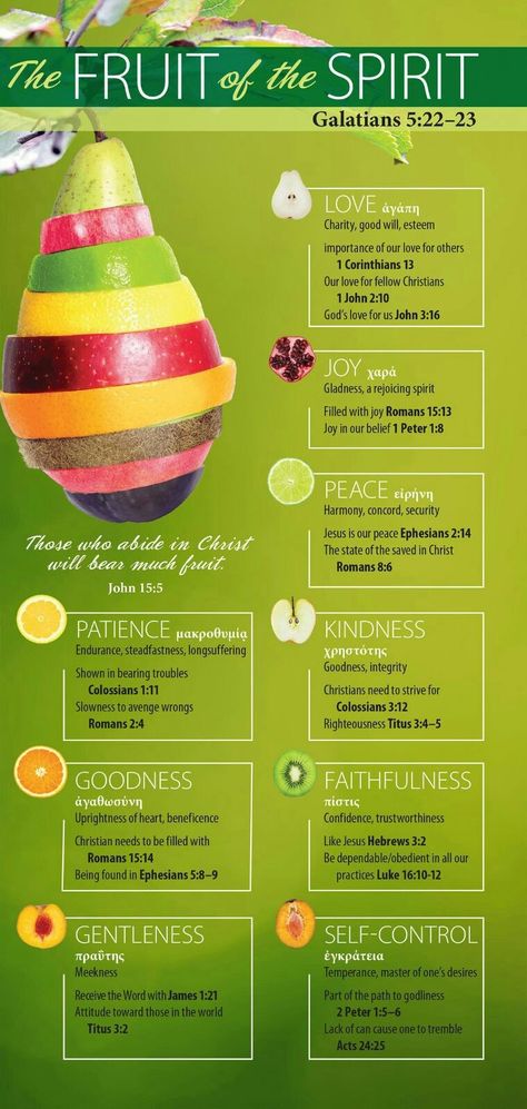 The Fruit Of The Spirit, Life Quotes Love, Bible Facts, Bible Teachings, Fruit Of The Spirit, Scripture Study, Bible Knowledge, Bible Lessons, The Fruit