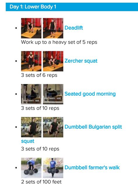 How To Squat On Smith Machine, Zercher Squat Exercise, Smith Machine Squat Form, Smith Machine Squat, Smith Machine Back Squat, Zercher Squat, Farmers Walk, Bulgarian Split Squats, Lower Body