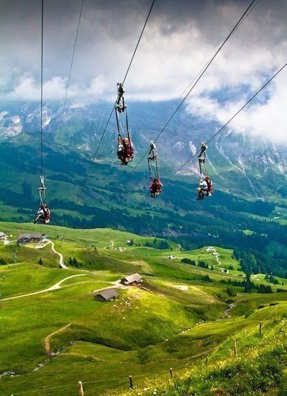 Ziplining in the Swiss Alps, Switzerland. A must-do vacation bucket list activity and memory to last a lifetime! Grindelwald Switzerland, Takayama, Destination Voyage, Swiss Alps, Skydiving, Future Travel, Bora Bora, Travel List, Rock Climbing