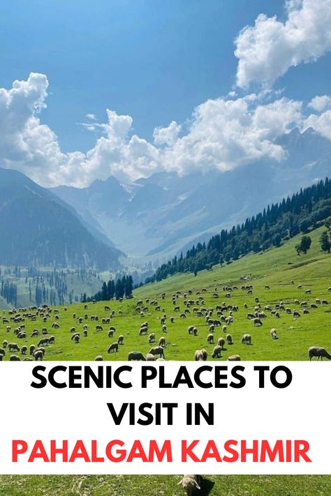 Scenic Places to Visit in  Pahalgam Kashmir | Best Places to Visit in  Pahalgam | Best Scenic Valleys in Kashmir | Best Things to Do in Kashmir Places To Visit In Kashmir, Pahalgam Kashmir, Scenic Places, Kashmir India, 100 Things To Do, Pony Rides, Visit India, River Rafting, Clear Lake