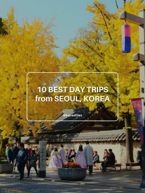 10 Best Day Trips From Seoul | Korea Files Nami Island, Coffee History, Walled City, Unique Experiences, Travel Diy, Easy Day, Seoul Korea, Filming Locations, Tour Packages