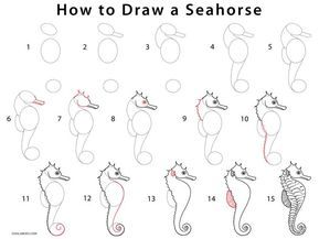 How to Draw a Seahorse (Step by Step Pictures) | Cool2bKids Draw A Seahorse, Seahorse Drawing, Sea Creatures Drawing, Seahorse Art, Realistic Rose, Horse Dressage, Tangle Art, Horse Drawing, Drawing For Beginners