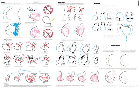 Pregnancy Drawing, Body Type Drawing, Belly Art, Pregnancy Art, Body Drawing Tutorial, Anatomy Drawing, Arte Sketchbook, Figure Drawing Reference, Anatomy Reference