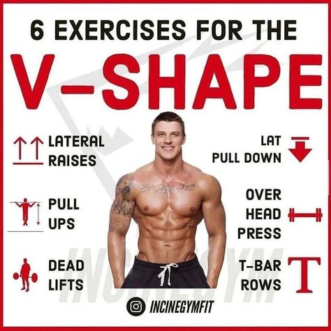 follow us for daily pins❤ Gain Weight Men, Gym Workout Guide, Workout Program Gym, Work Out Routines Gym, Dumbell Workout, Bodybuilding Workout Plan, Gym Workout Chart, Workout Routine For Men, Abs And Cardio Workout