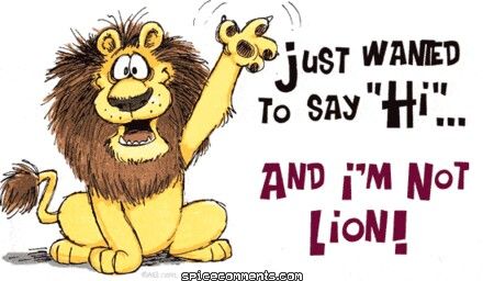 Hi... Just Wanted To Say Hi Quotes Funny, Hi Quotes, Pet Quotes, Hello Greeting, Just Saying Hi, Just Saying, Glitter Graphics, Good Morning Good Night, The Lion