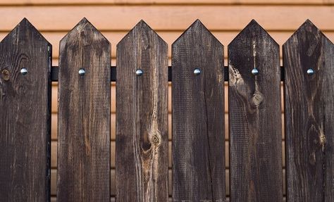 How to choose the perfect fence stain color Modern Fence Stain Colors, Fence Stain Colors, Cedar Fence Stain, Exterior Wood Paint, Redwood Fence, Semi Transparent Stain, Solid Stain, Fence Stain, Black Fence