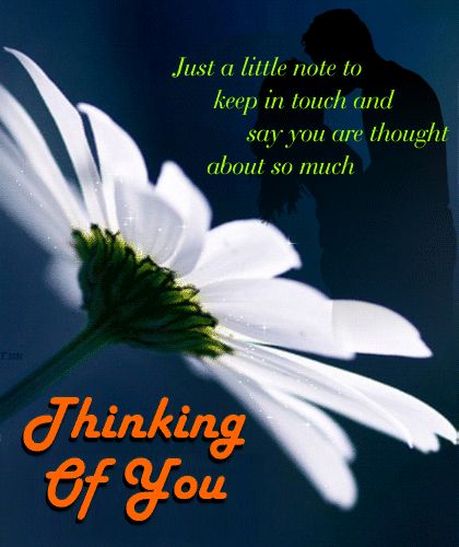 Think Of You Quotes Support, Flowers Animated, Thinking Of You Images, Thinking Of Him, Hello Quotes, Get Well Messages, Special Friend Quotes, Thinking Of You Today, Thinking Of You Quotes