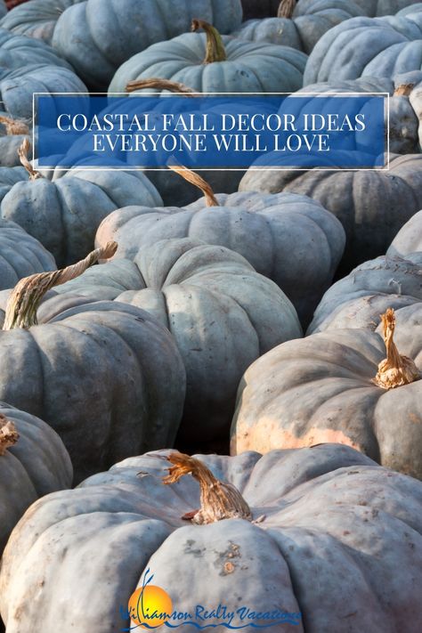 What could be better then fall weather and coastal decor? Find out how to make the most of your fall decor with these fun coastal inspired ideas. Coastal Fall Decor Ideas, Coastal Fall Decor, Beach Theme Pillows, Coastal Fall, Old Lanterns, Fall Beach, Topsail Island, Fall Vacations, Ocean Isle Beach