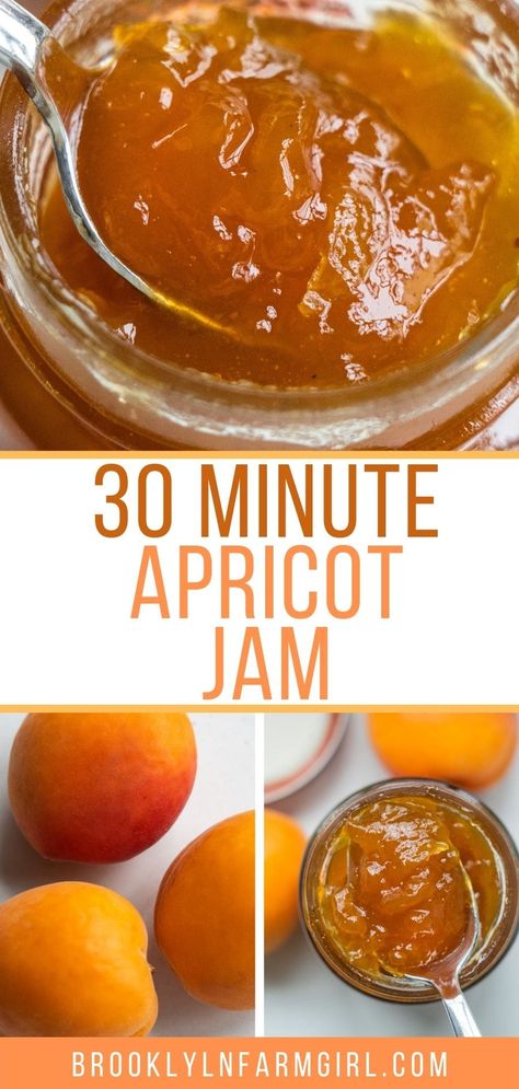 Canning Instructions, Refrigerator Jam, Fresh Apricots, Apricot Jam Recipes, Easy Canning, Apricot Recipes, Canning Jam, Fresh Fruit Recipes, Peach Jam