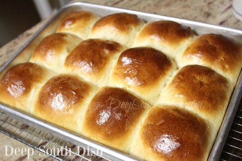 Old School Cafeteria-Style Yeast Rolls from Deep South Dish blog! Big, fluffy and tender yeast rolls, reminiscent of those old school cafeteria rolls so many of us loved. Cafeteria Rolls, Old Fashioned School, Homemade Yeast Rolls, Yeast Rolls Recipe, School Lunch Recipes, Cafeteria Food, Deep South Dish, Yeast Rolls, School Cafeteria