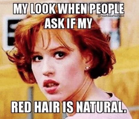 Ginger Meme, Redhead Memes, Lace Closure Hairstyles, Memes Pictures Mood, Ginger Picture, Ginger Humor, Hair Quotes Funny, Redhead Funny, Happy Memes