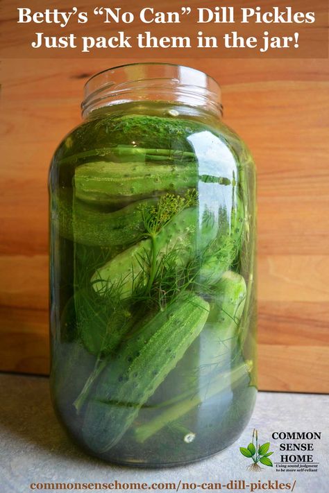 Refrigerator Pickles Dill, Dill Pickle Recipe, Pickled Cucumbers, Canning Pickles, Gallon Jars, Refrigerator Pickles, Dill Pickles, Homemade Pickles, Cucumber Recipes