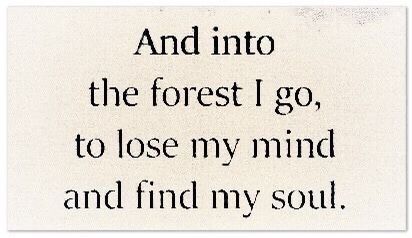 Into The Forest, Poem Quotes, A Poem, New Energy, Lose My Mind, Poetry Quotes, Pretty Words, Quote Aesthetic, Pretty Quotes