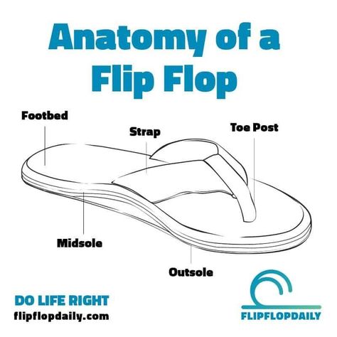 Did you know that a flip flop has 5 key parts?   Read on: https://www.flipflopdaily.com/anatomy-of-a-flip-flop/  #flipflopdaily #flipfloplife #doliferight #flipflops Fashion Design Classes, Shoe Chart, Clothes Reference, Shoe Designs, Technical Drawings, Oxford Shoe, Wine Glass Art, Anatomy Sketches, Shoe Design Sketches