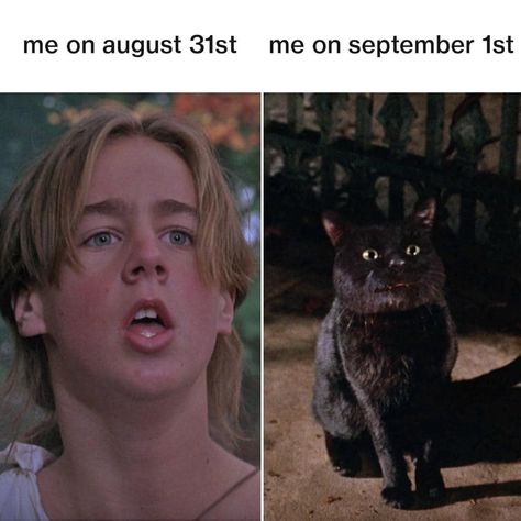 🐈‍⬛👻🎃🍁 Thackeray Binx Hocus Pocus, Thackery Binx Hocus Pocus, Binx Hocus Pocus, Hocus Pocus Thackery Binx, Billy Butcherson Hocus Pocus, Max Dennison, Billy Butcherson, Thackery Binx, Sean Murray