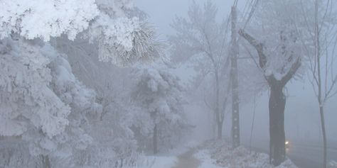 Winter Princess, Winter Fairy, I Love Winter, Snow Angels, Winter Scenery, Snowy Day, Crystal Palace, Winter Aesthetic, Back To Nature