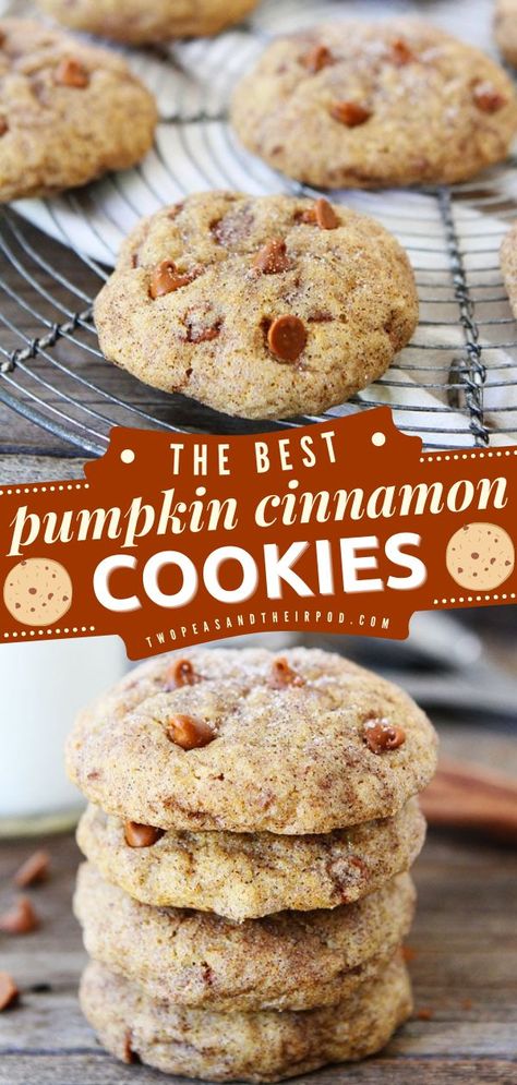 Pumpkin Cinnamon Cookies, Thanksgiving desserts, Thanksgiving sweet treats Cookies With Cinnamon Chips, Raspberry Cookie Recipes, Cookies With Cinnamon, Pumpkin Breakfast Recipes, Pumpkin Chip, Thanksgiving Sweet Treats, Pumpkin Cookie Recipe, Pumpkin Recipes Healthy, Cinnamon Roll Cookies