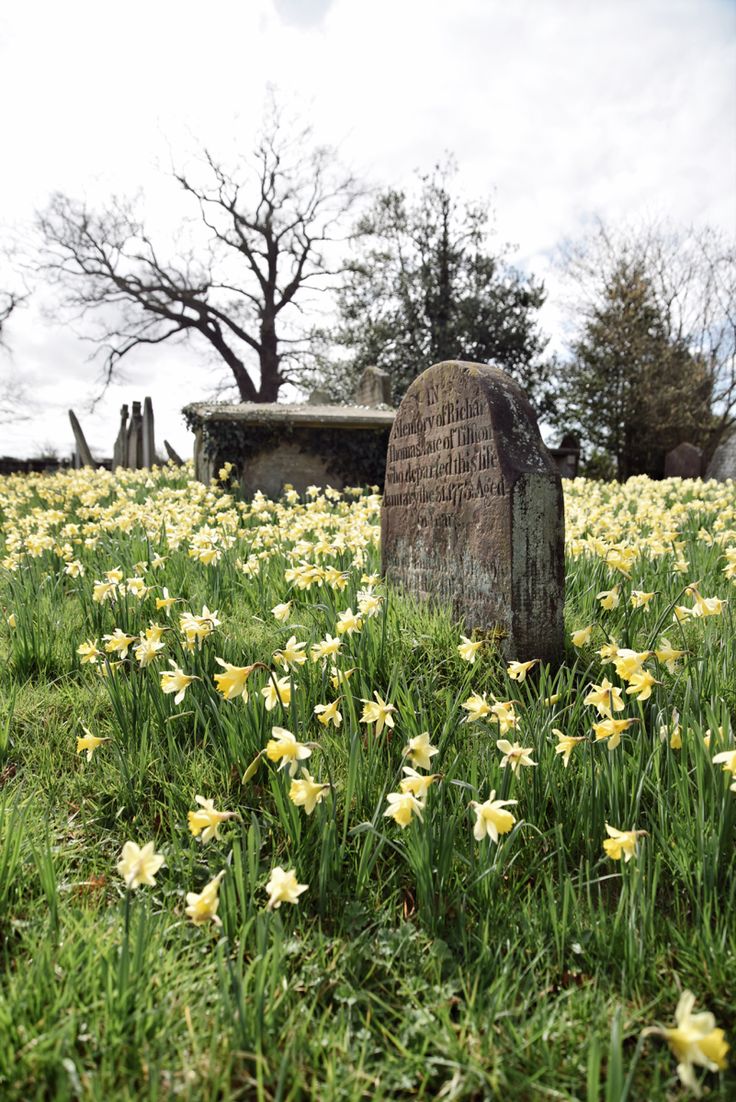 a grave surrounded by yellow flowers in the grass