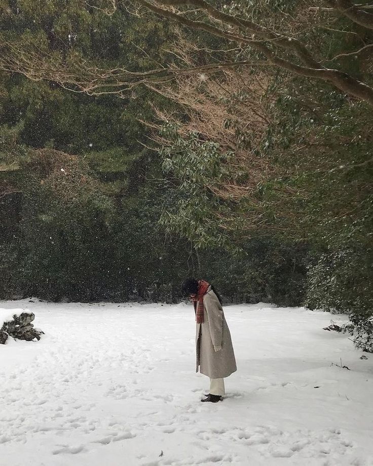 a person standing in the snow near some trees