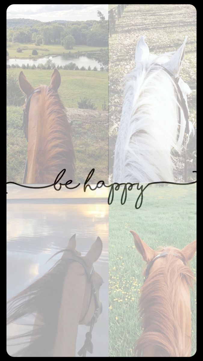 two horses standing next to each other with the words be happy written on top of them