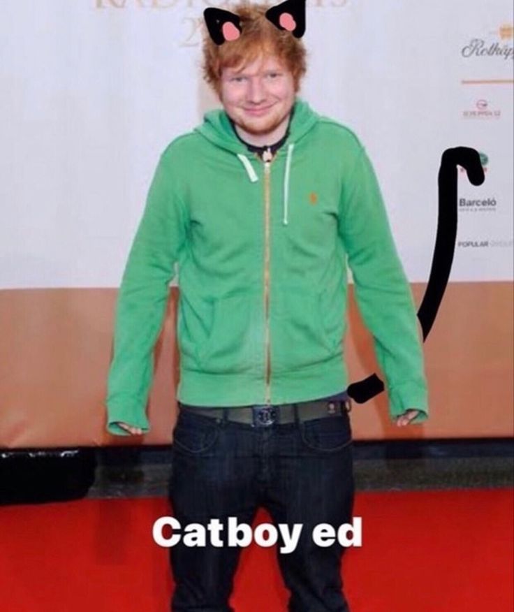 a young man in a green hoodie and cat ears standing on a red carpet