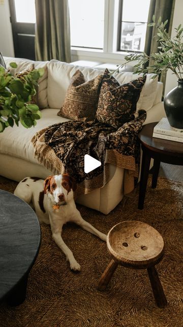 a dog laying on the floor in front of a couch and coffee table with pillows