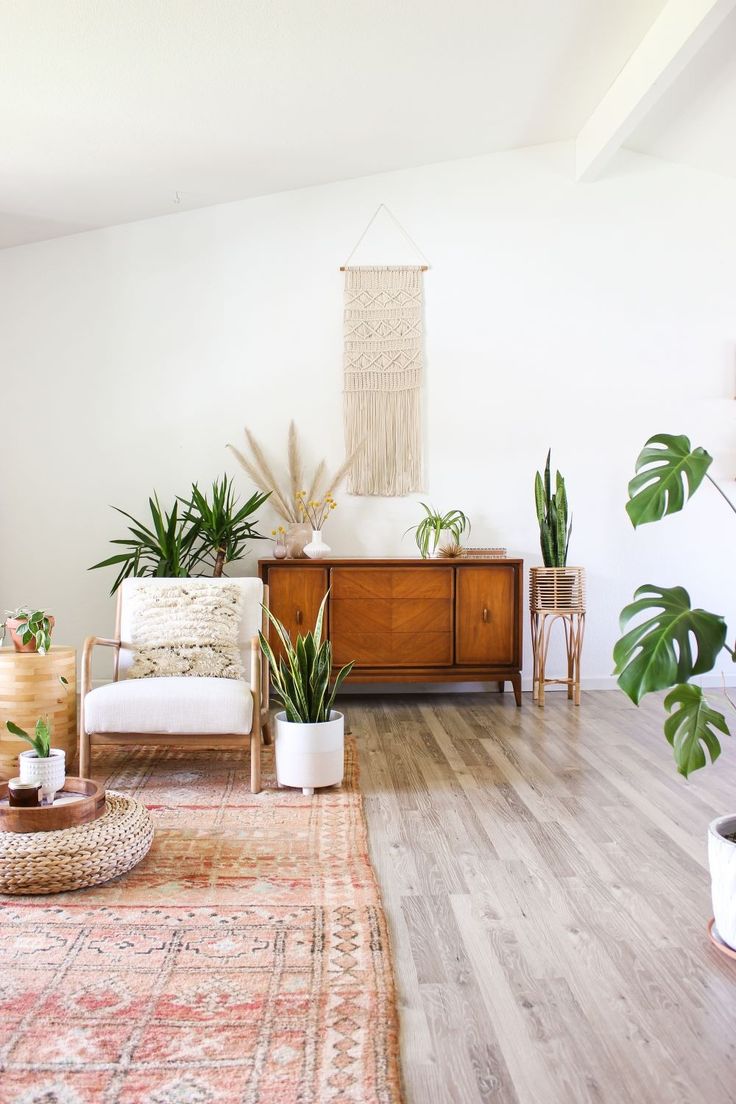 a living room filled with lots of plants on top of a wooden floor next to a white wall