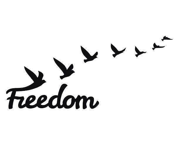 a flock of birds flying in the sky with the word'freedom'written below it