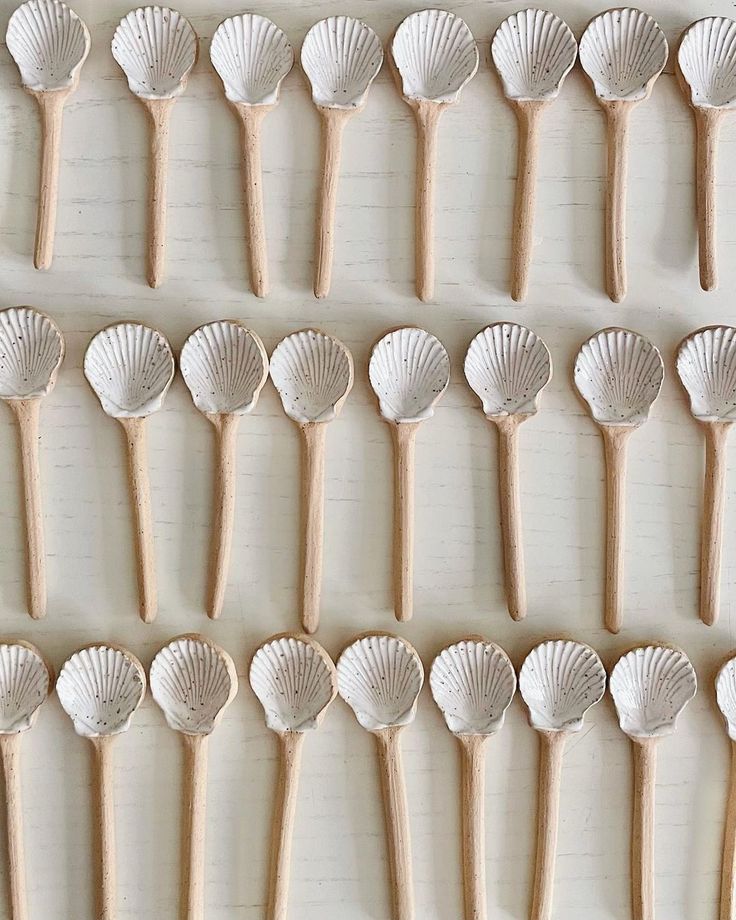 many seashells are arranged in rows on a white surface with wooden sticks sticking out of them